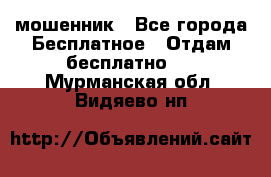 мошенник - Все города Бесплатное » Отдам бесплатно   . Мурманская обл.,Видяево нп